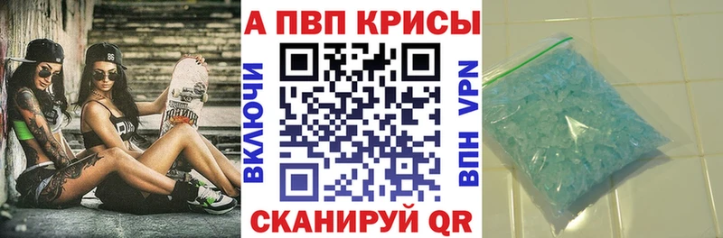 A PVP СК КРИС  Шарья 