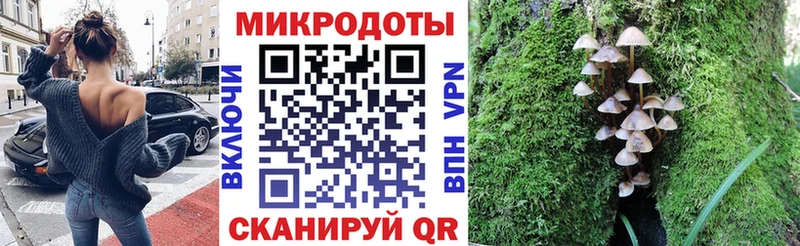 kraken ссылки  Шарья  Галлюциногенные грибы Magic Shrooms  купить закладку 